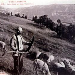 Scène agricole